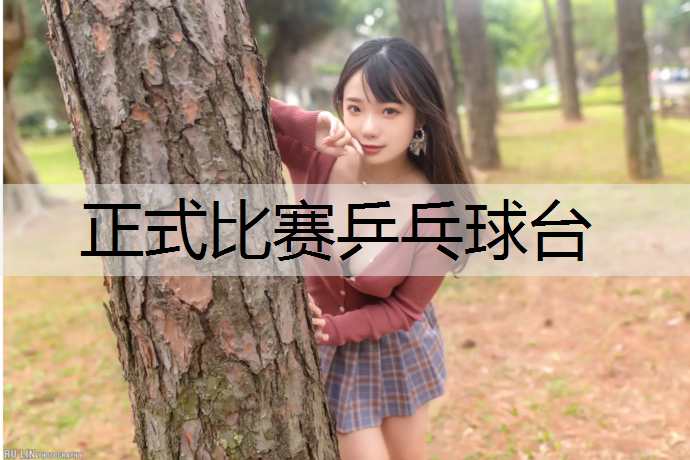 正式比赛乒乓球台