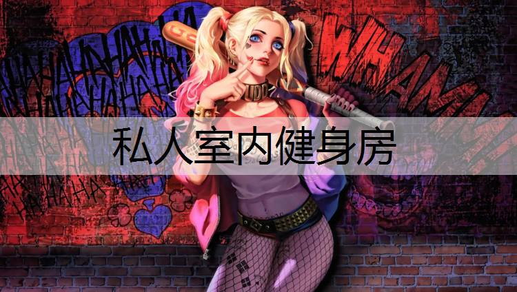 私人室内健身房