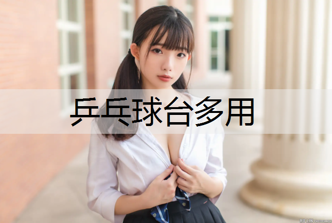 乒乓球台多用