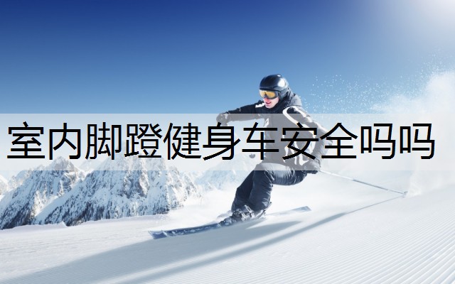 室内脚蹬健身车安全吗吗