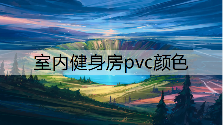 室内健身房pvc颜色