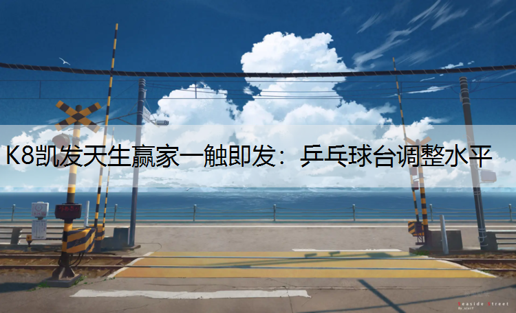 乒乓球台调整水平