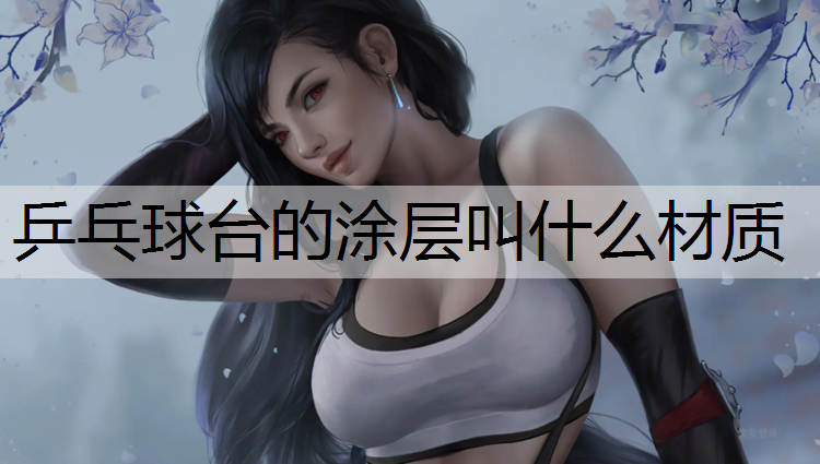 乒乓球台的涂层叫什么材质