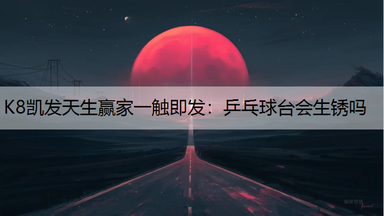 乒乓球台会生锈吗