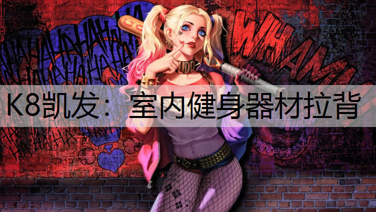 室内健身器材拉背