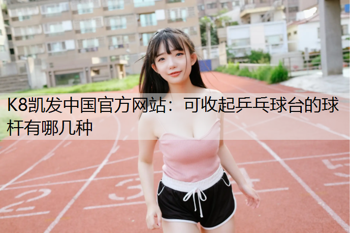 可收起乒乓球台的球杆有哪几种
