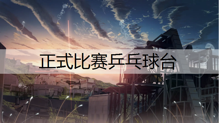 正式比赛乒乓球台